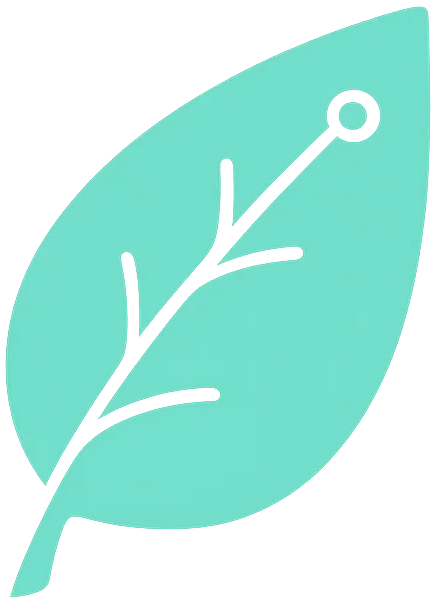 Infusio